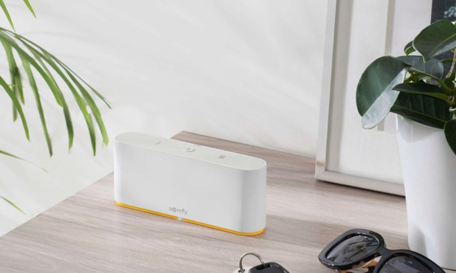 Smart Home